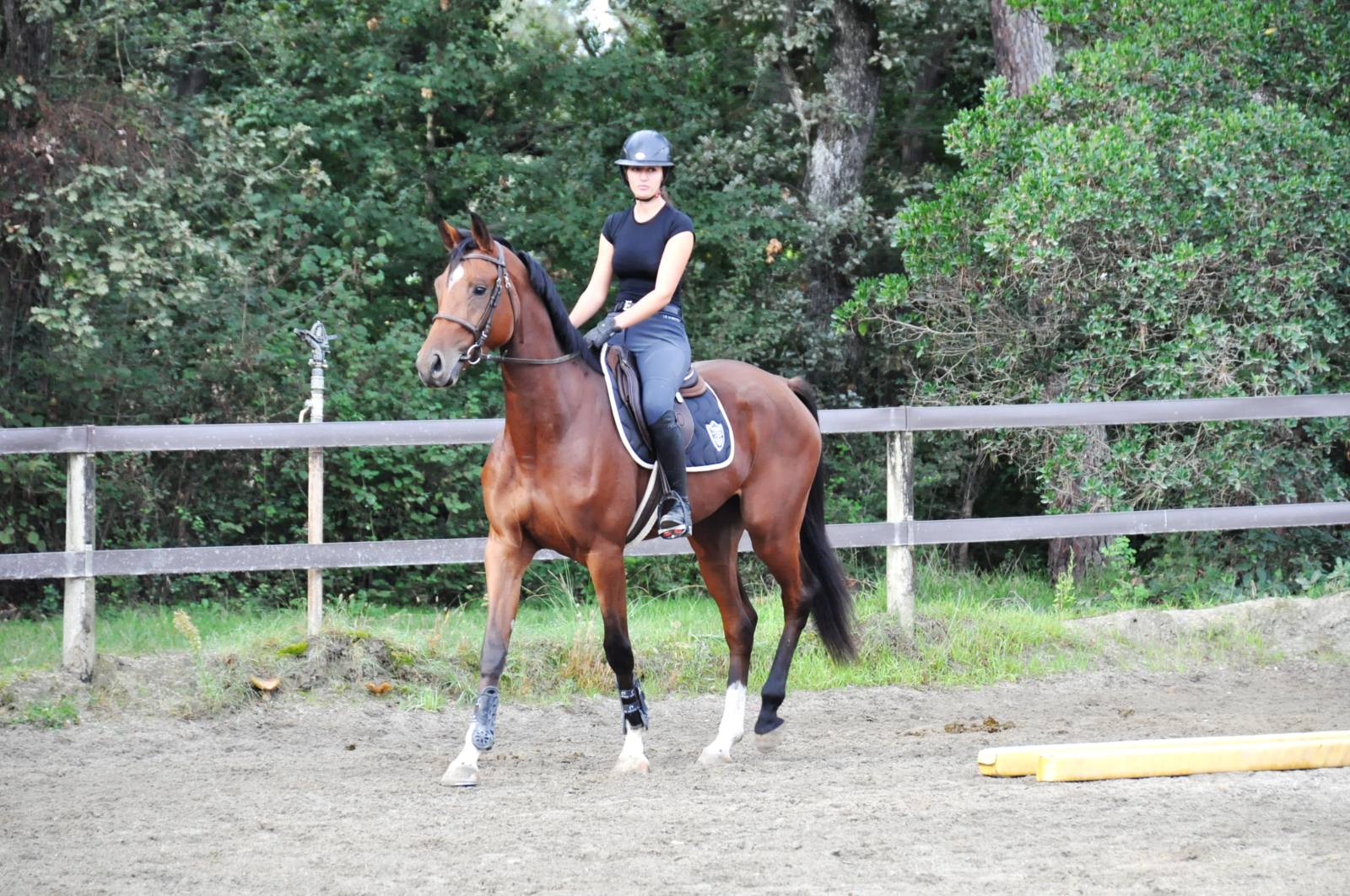 Mahora de Fleyres au travail