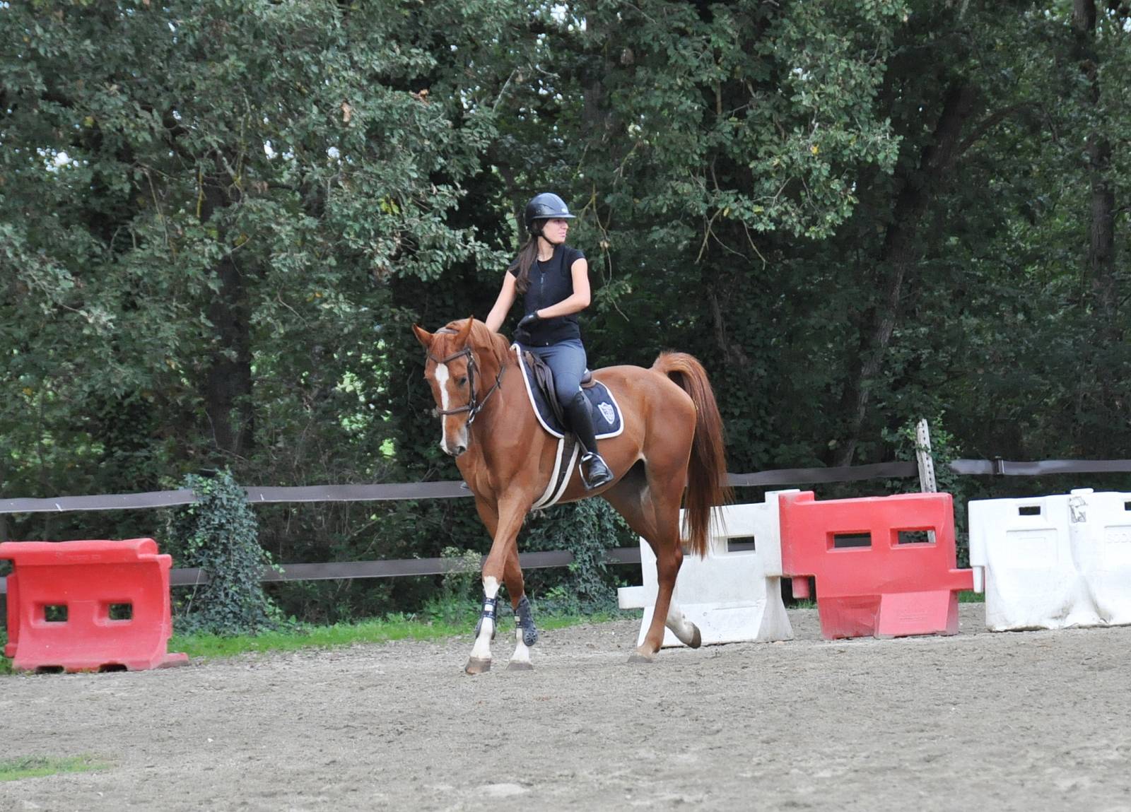 Mukoki de Fleyres et Clémentine