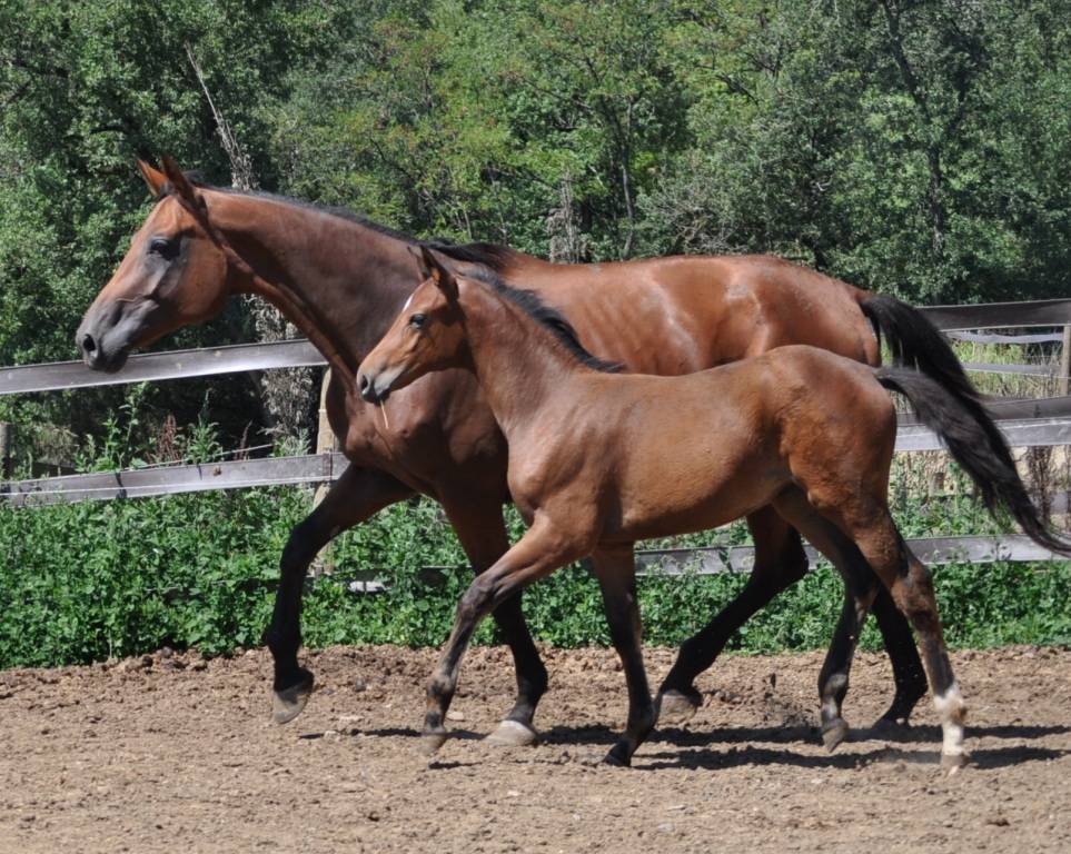 Quanelle de Fleyres et sa fille Bali