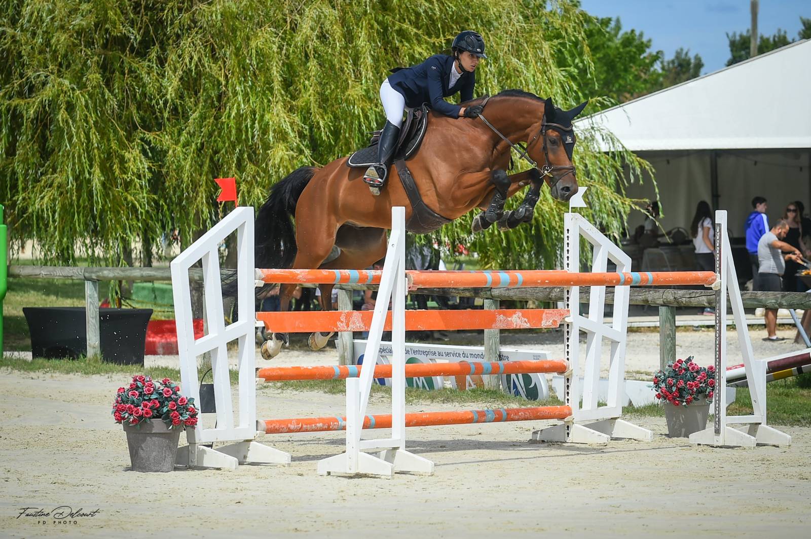 Elixir et Clementine GP 135