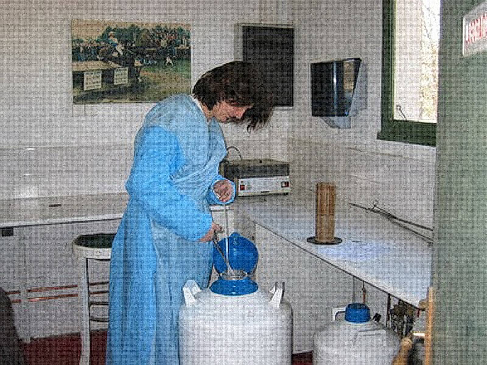 Emilie Cantin au Centre d'Insémination