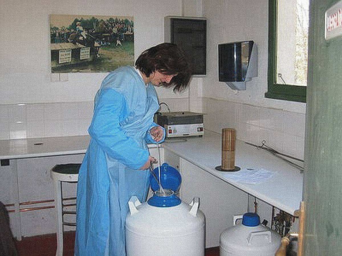 Préparation à une insémination