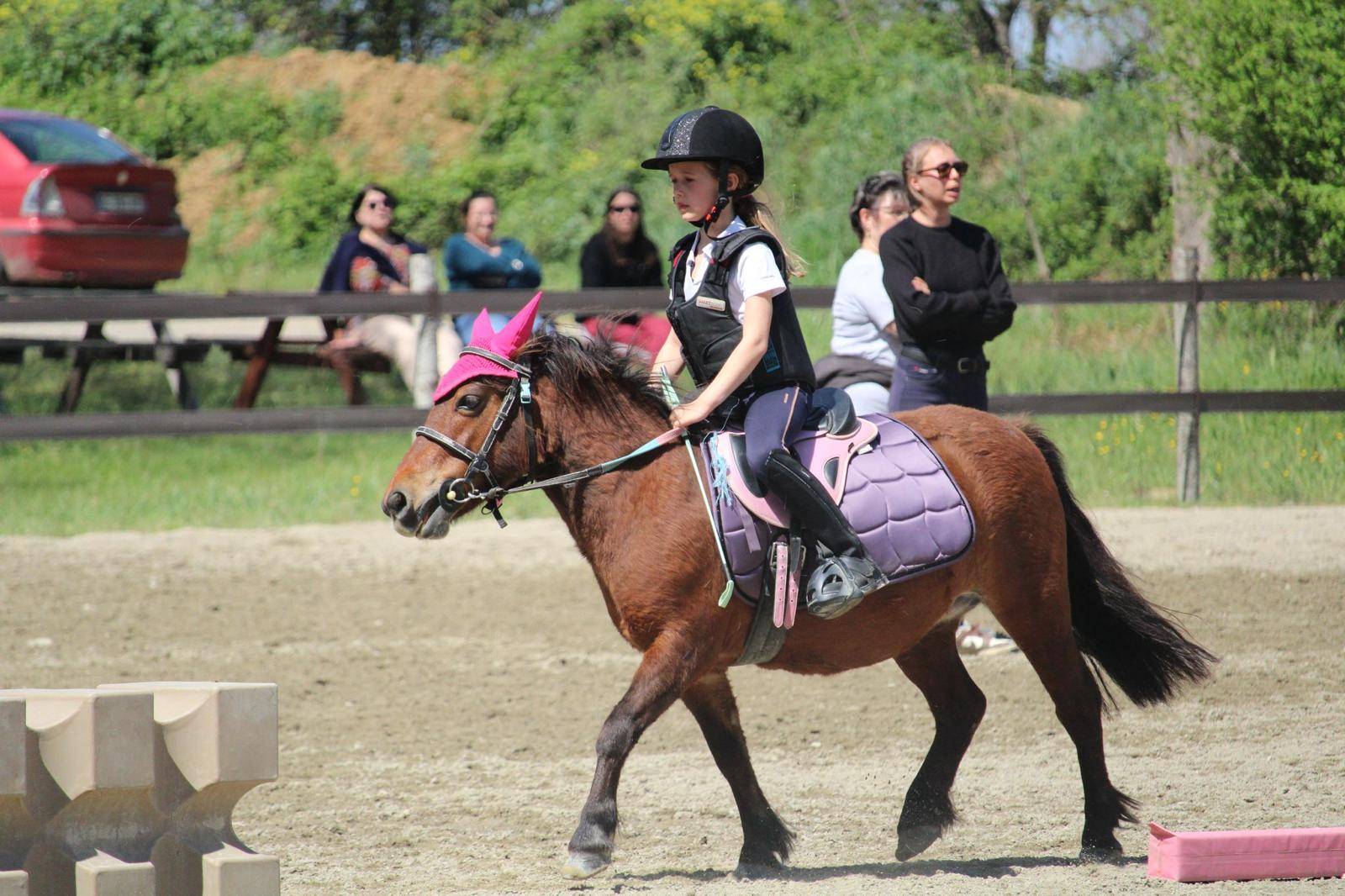 Travail avec mon poney