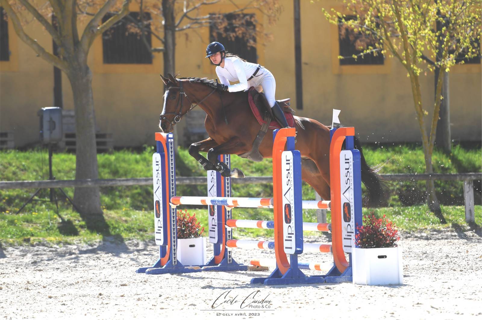 Jehol et Clémentine