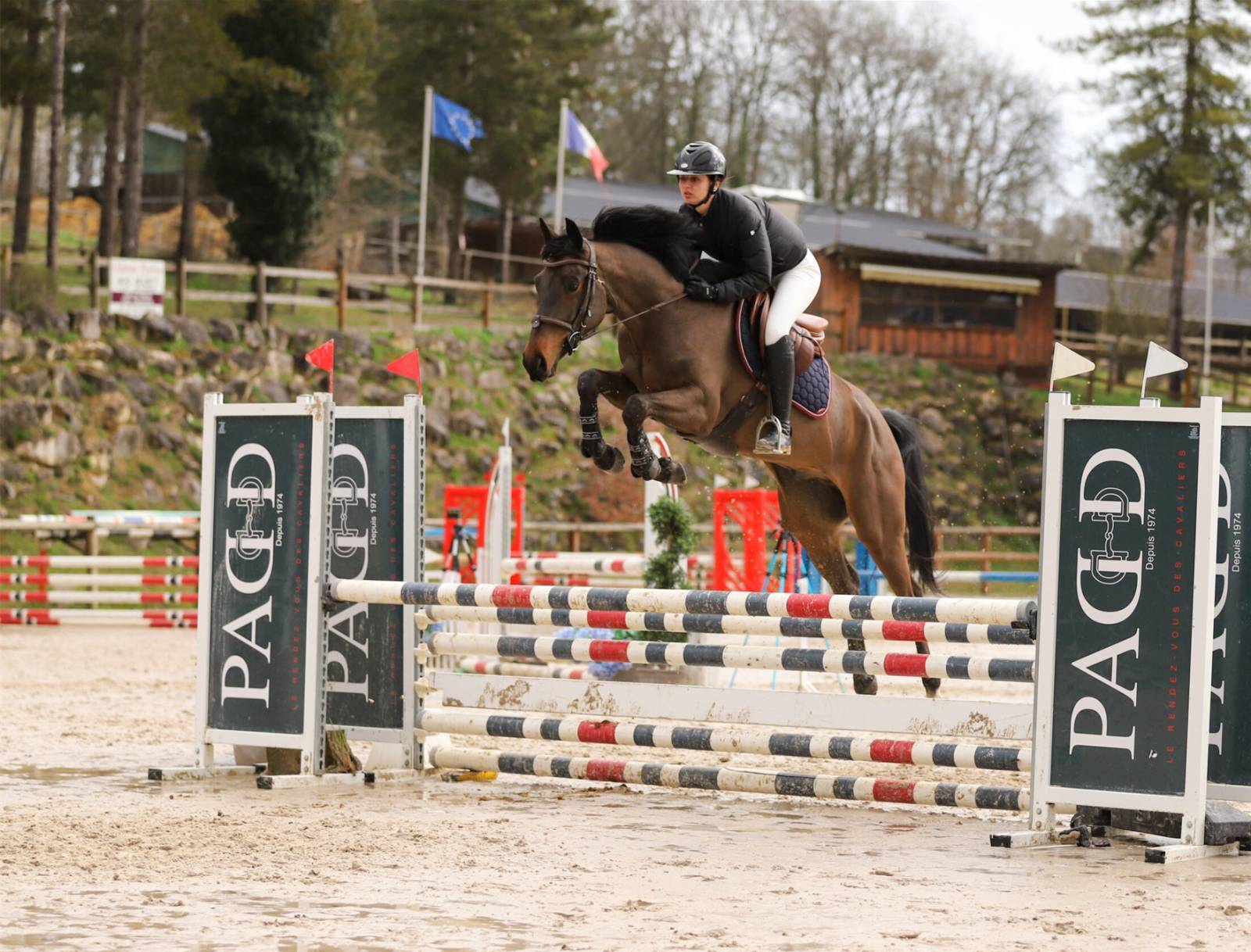 Clémentine et Jinbei de Fleyres