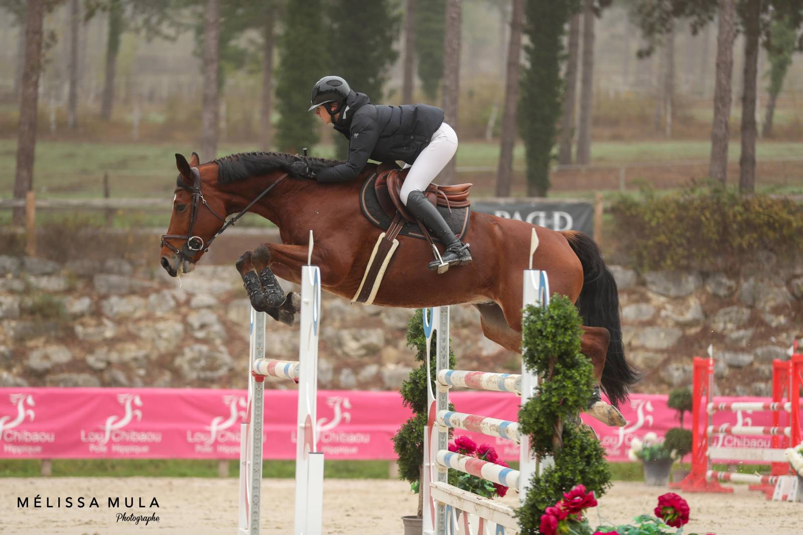 Elixir et Clementine GP 130