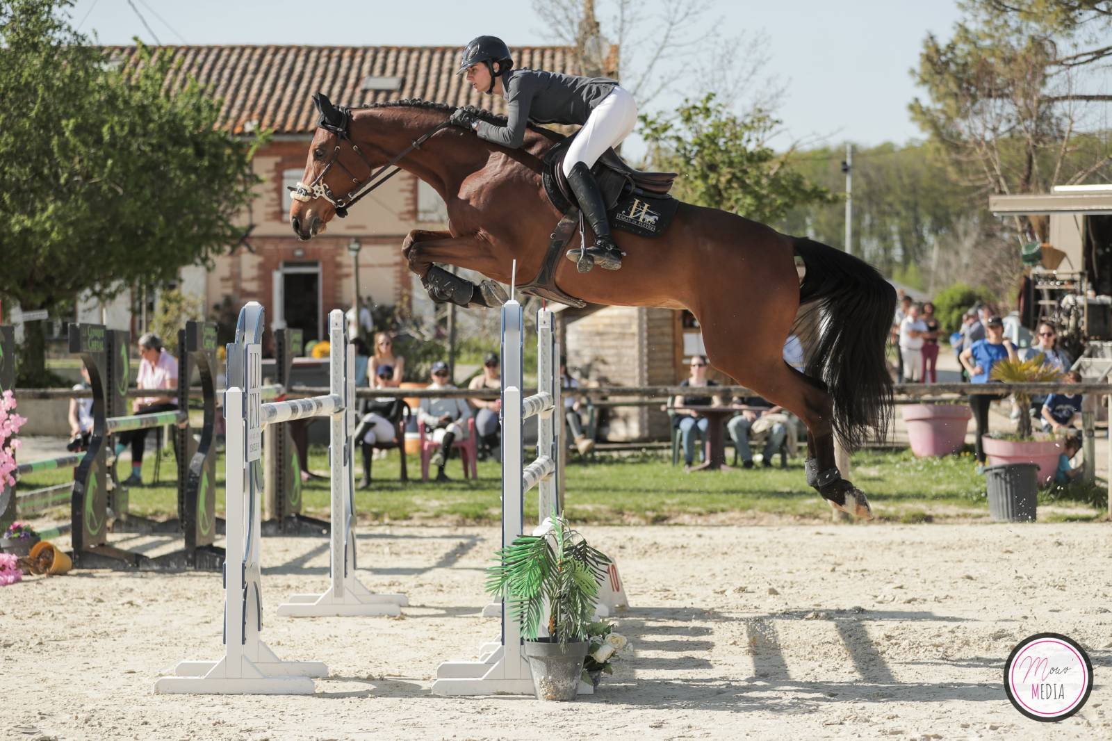 Indigo et Clémentine