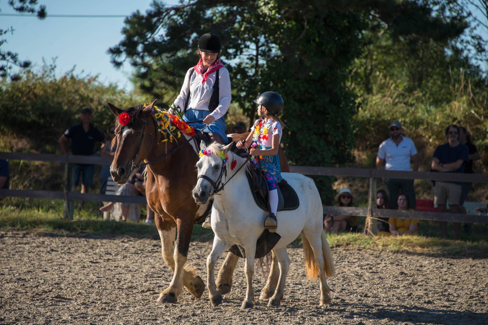 Centre équestre avec promenade à cheval près de Pibrac (31820), Haute-Garonne