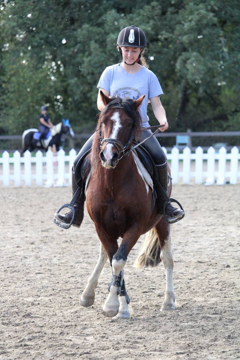 Peanuts et Anna en cours de dressage 