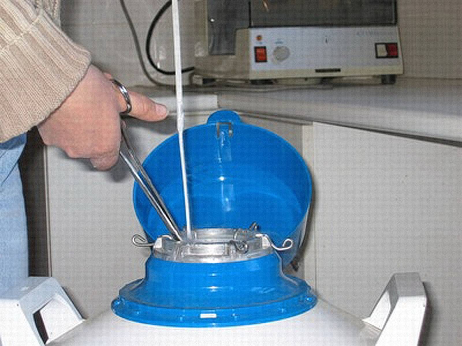 Prélèvement semence