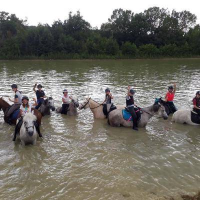 Les enfants et adolescents en stage équestre au mois de juillet