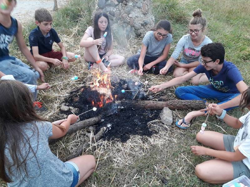 En stage équestre au mois de juillet des vacances au milieu des chevaux inoubliables !