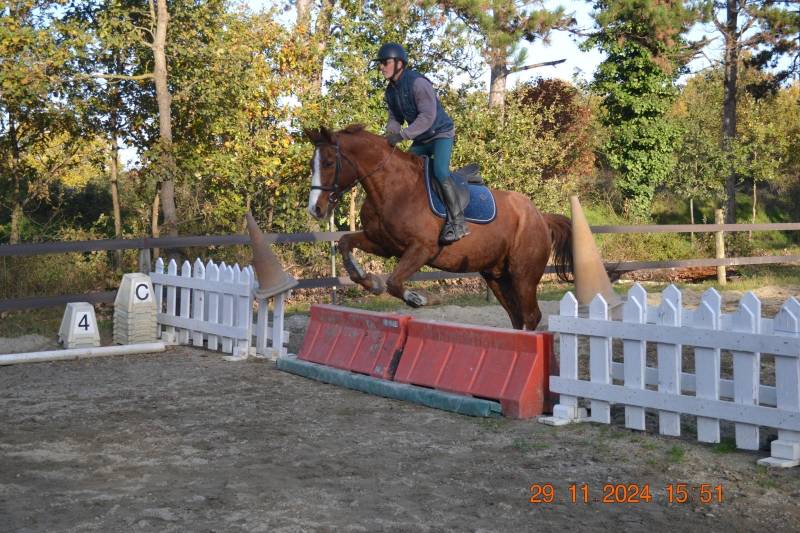 Swell et Serge en cours de saut 