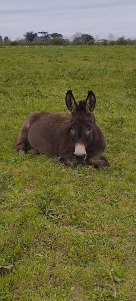 Objectif du jour: ne rien faire ( et bien le faire ) 