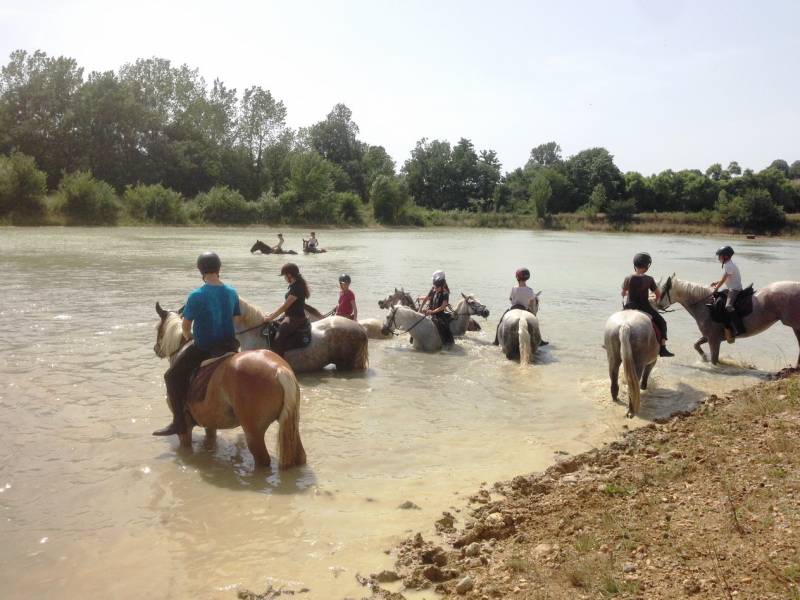 Baignade au lac pour les enfants en stage au mois de Juillet au Centre équestre de Bretx