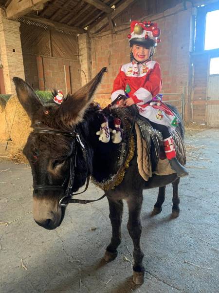 Déguisement Noël avec Bounty