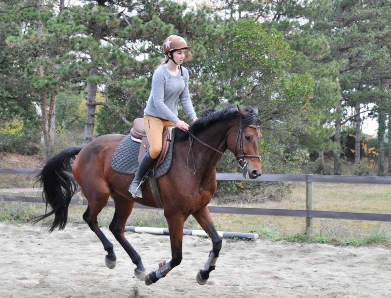Découvrez les tarifs du Centre équestre du Haras de Fleyres à Bretx proche de Toulouse