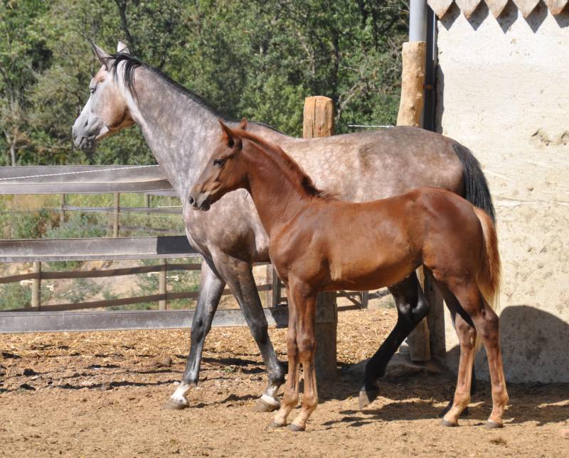 Uriah de Fleyres et sa fille Circée