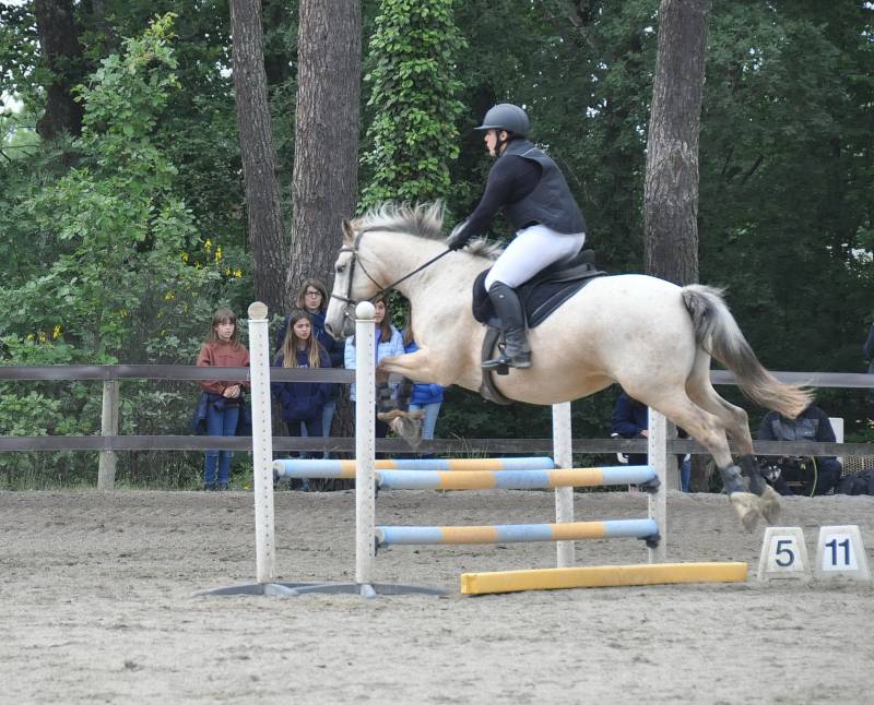 Saut d'obstacles à Fleyres