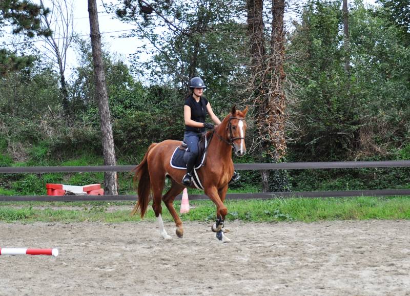 Mukoki de Fleyres avec Clémentine
