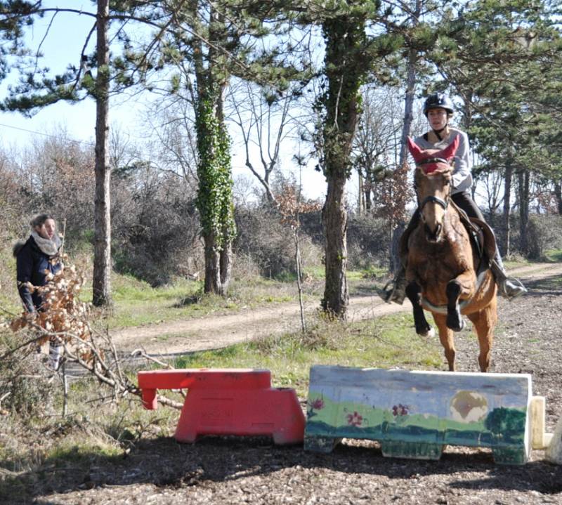 Stage d'Obstacle en extérieur au Centre équestre de Fleyres à Bretx