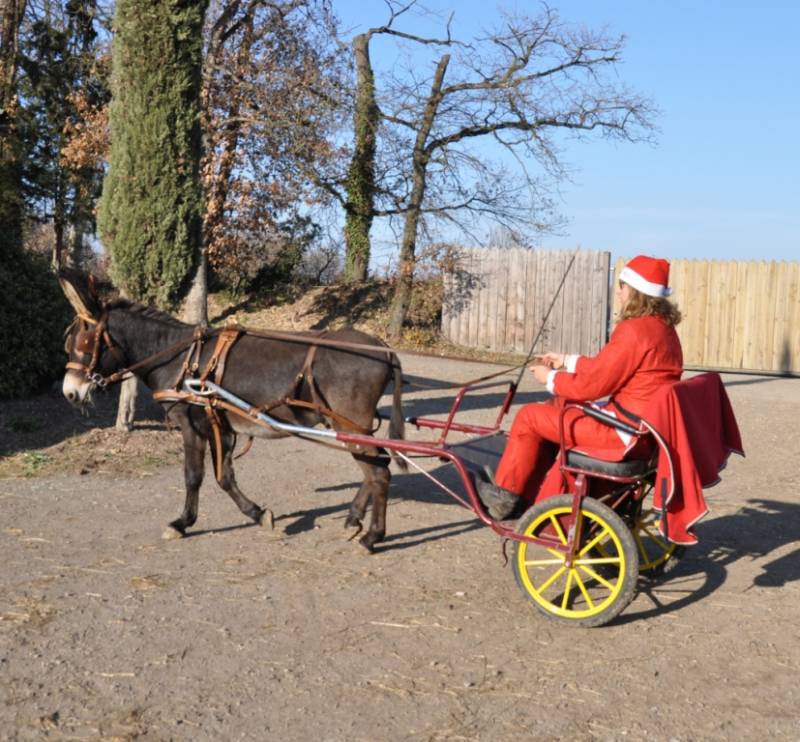 Le Père Noël au Centre équestre de Fleyres