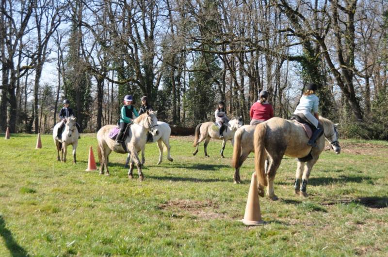 Stage de TREC au Centre équestre de Fleyres près de Blagnac