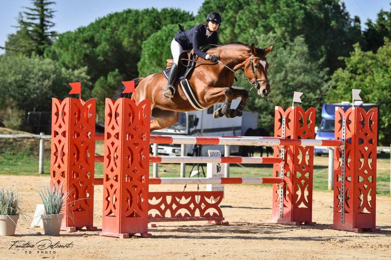 Elixir et Clémentine