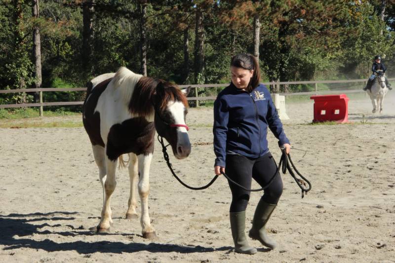 Equicoaching et confiance en soi à Bretx proche de Colomiers