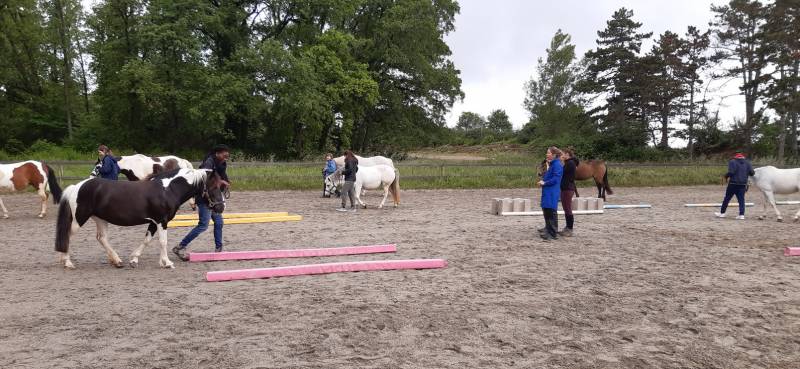 Bordures maréchaires