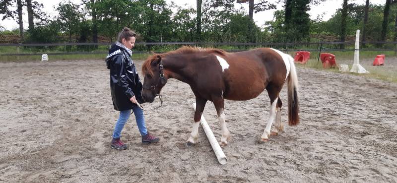 Passage de barres au sol avec arrêt