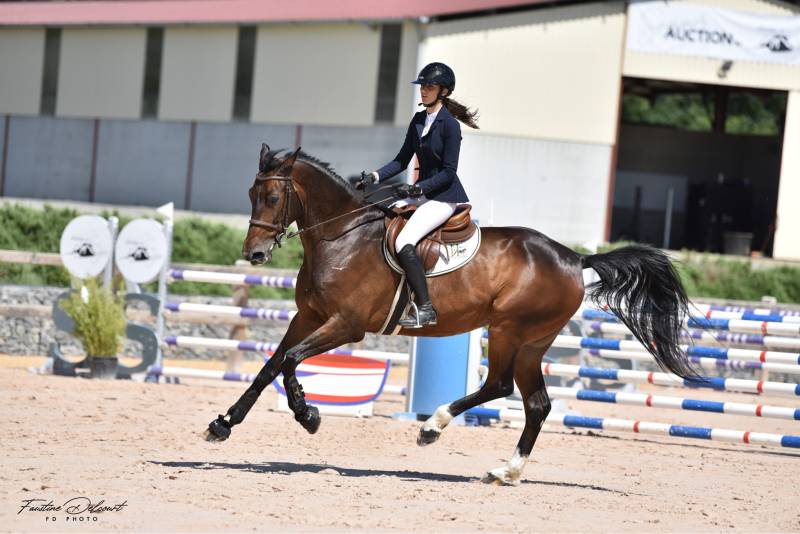 Hiluluk et Clémentine