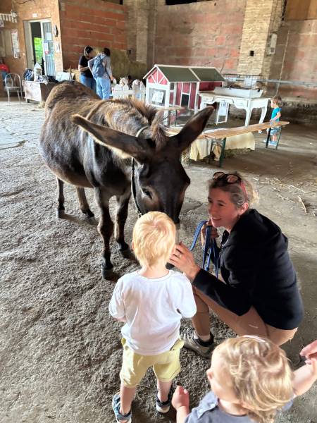 premier contact avec Bounty notre adorable petit âne