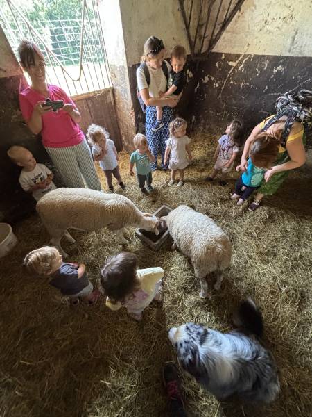 Découverte sensorielle avec nos moutons Shaun et Clotaire sous la surveillance de Taïko