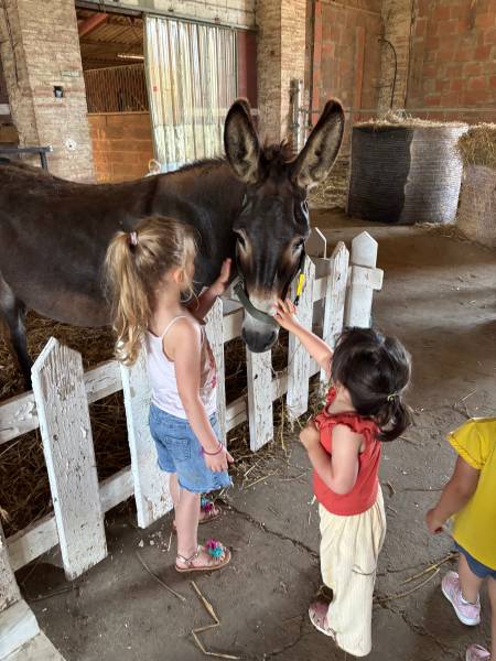 Bounty et ses admiratrices