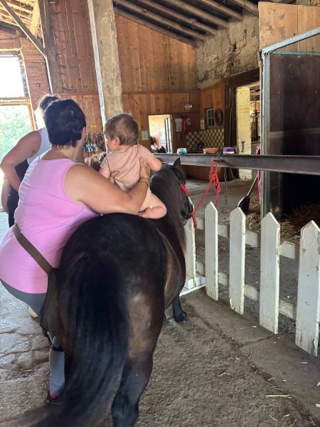 petite monte sur nos gentils poneys 