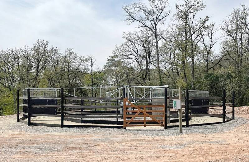 Le marcheur de Fleyres