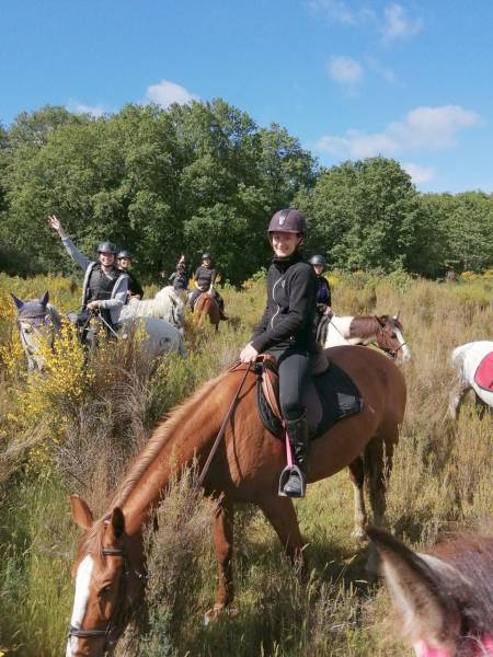 balade dans les prés et les forêts