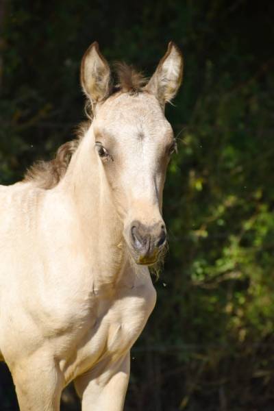 Produit toujours de la couleur !