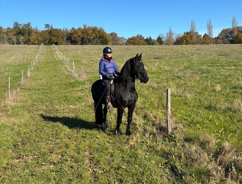 Emilie et son frison Bernard