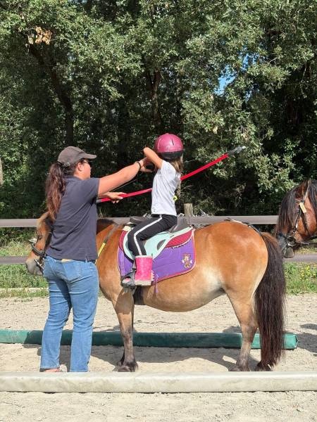 Tir à l'arc anim poney