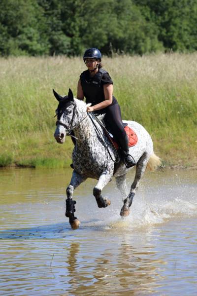 entrainement  Sur le cross à Pibrac
