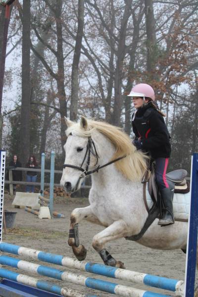 avec son galop 2 notre cavalière a pu participer au concours interne de Fleyres