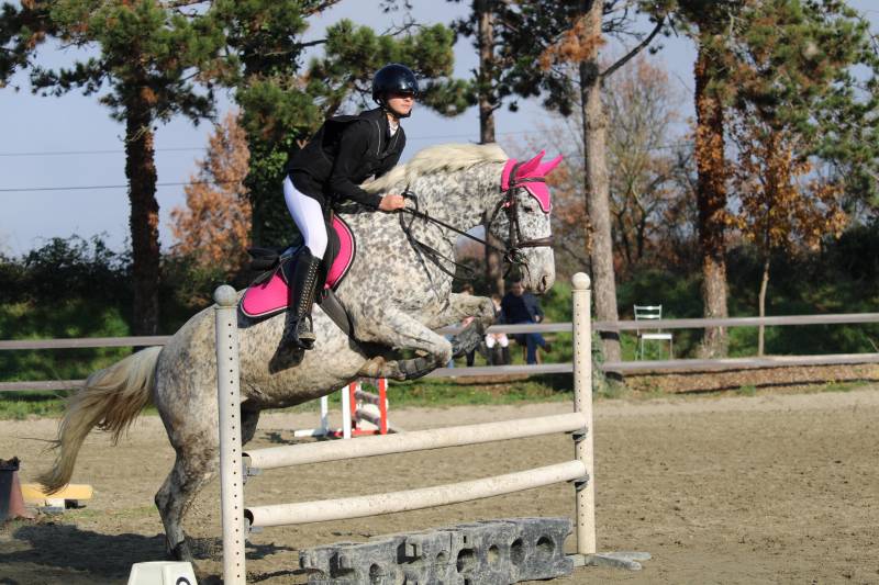 club 2  10 obstacles à 80cm 
