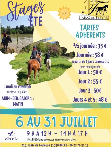 stage d'ete 