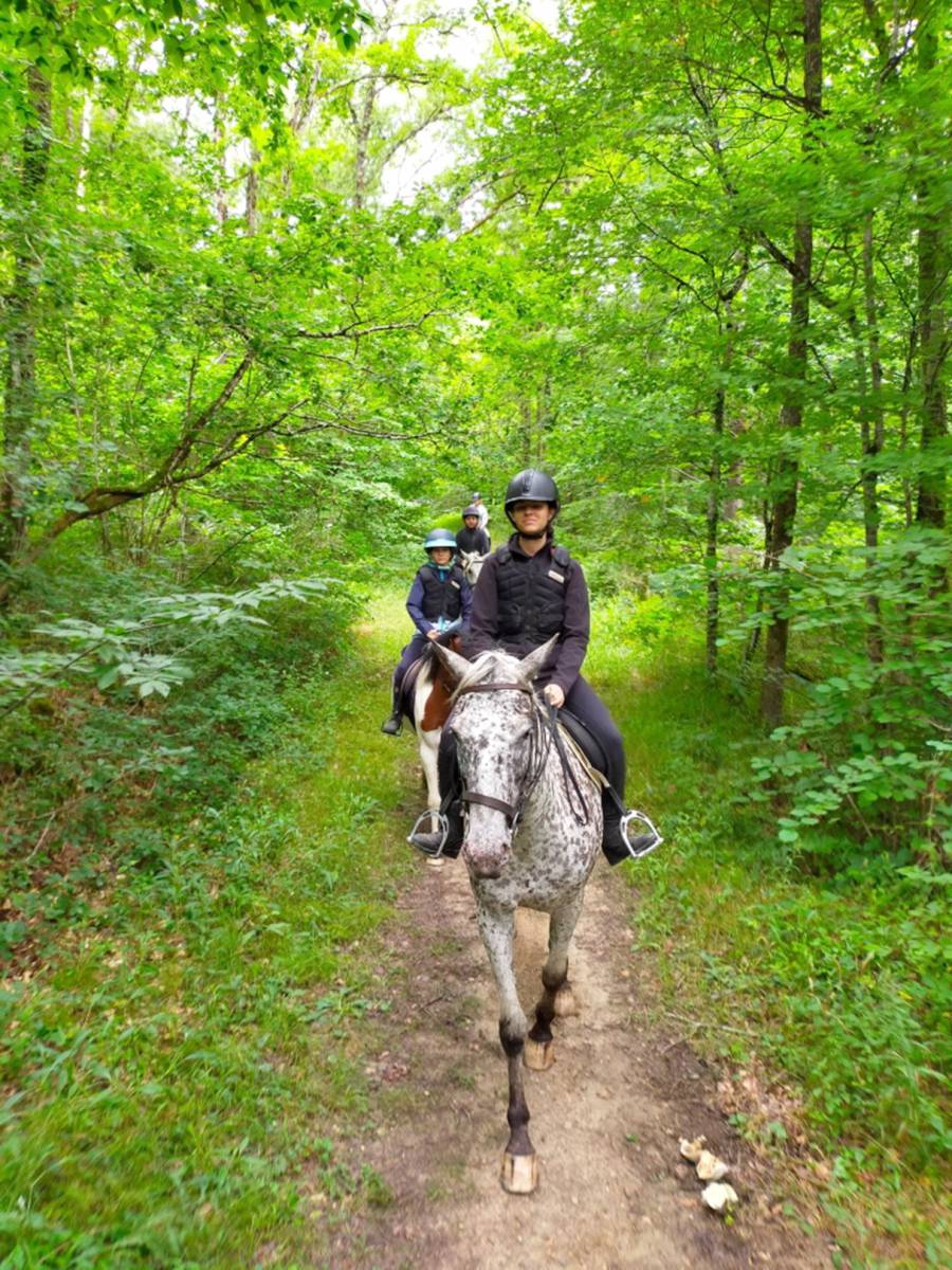 Balade en extérieur