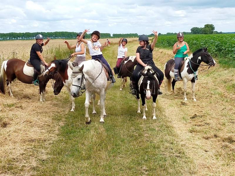 Balade dans les prés