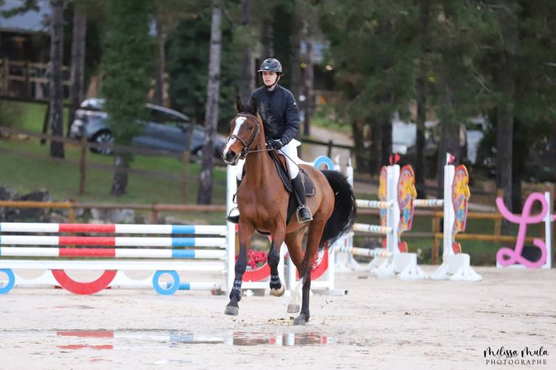 Notre zone d'activité pour ce service Pension de retraite pour chevaux avec prés abrités et soins personnalisés