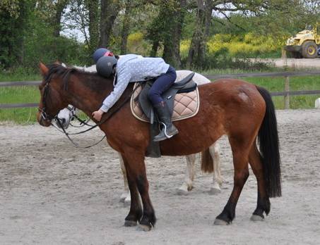 Câlin avec son cheval