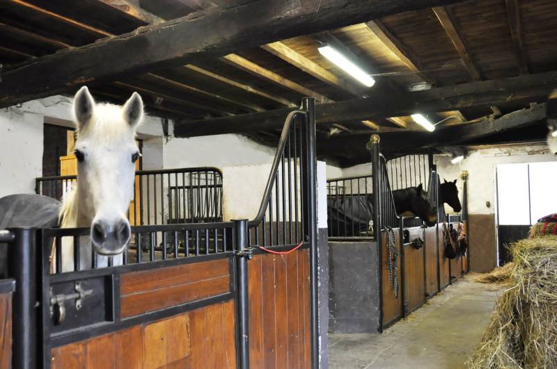 Les boxes des Ecuries